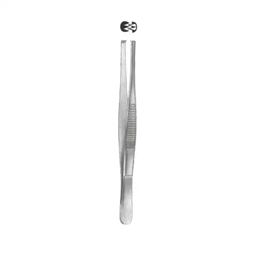 Tissue Forceps, 15cm, 2x3 teeth/ 티슈 포셉, 15cm, 2x3 teeth