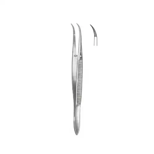 SPLIITTER Forcep/ 스프린터포셉 10cm 곡