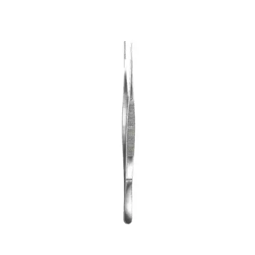 Taylor Forcep Straight & Curved,18cm, 테일러포셉 18cm 직, 곡